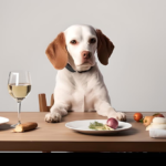 Pet Travel Accessories in Dubai