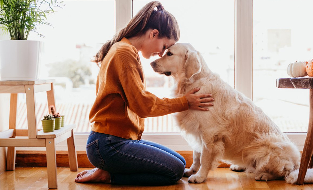 Pet Relocation Company in Dubai