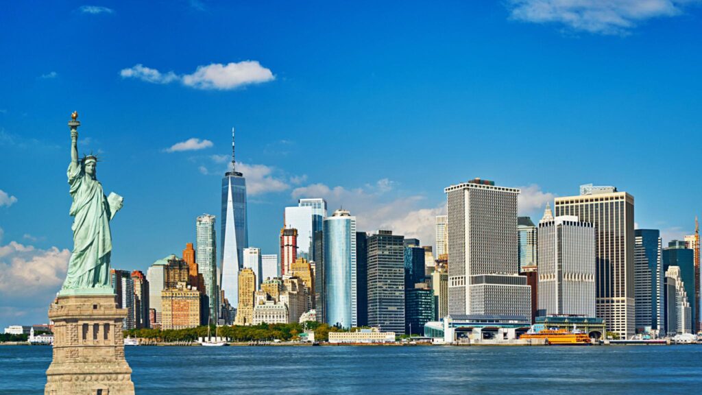 Pet Relocation to United States of America