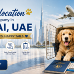 Pet relocation company in Dubai UAE