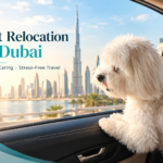 Pet Relocation from Dubai