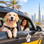 Pet Taxi in UAE