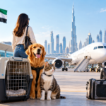 Pet Relocation from Dubai to USA